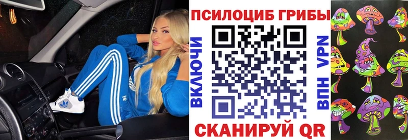 Псилоцибиновые грибы прущие грибы  где купить наркотик  Опочка 